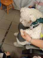 whatsapp image 2026-01-16 at 22.47.24